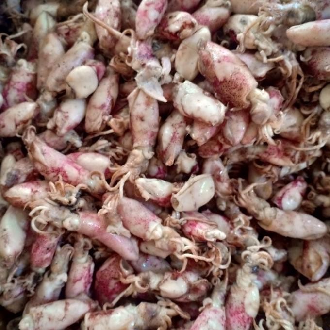 

ikan asin Baby cu BK per 500gram