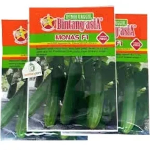 Timun Monas 900 Butir Timun monas 900 butir, Benih Monas F1, Buah Mentimun, Benih Mentimun Lalap Pro