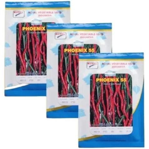 Phoenix 55 10Gr Benih Tanaman Cabe Keriting F1 Hibrida Phoenix 55 10Gr