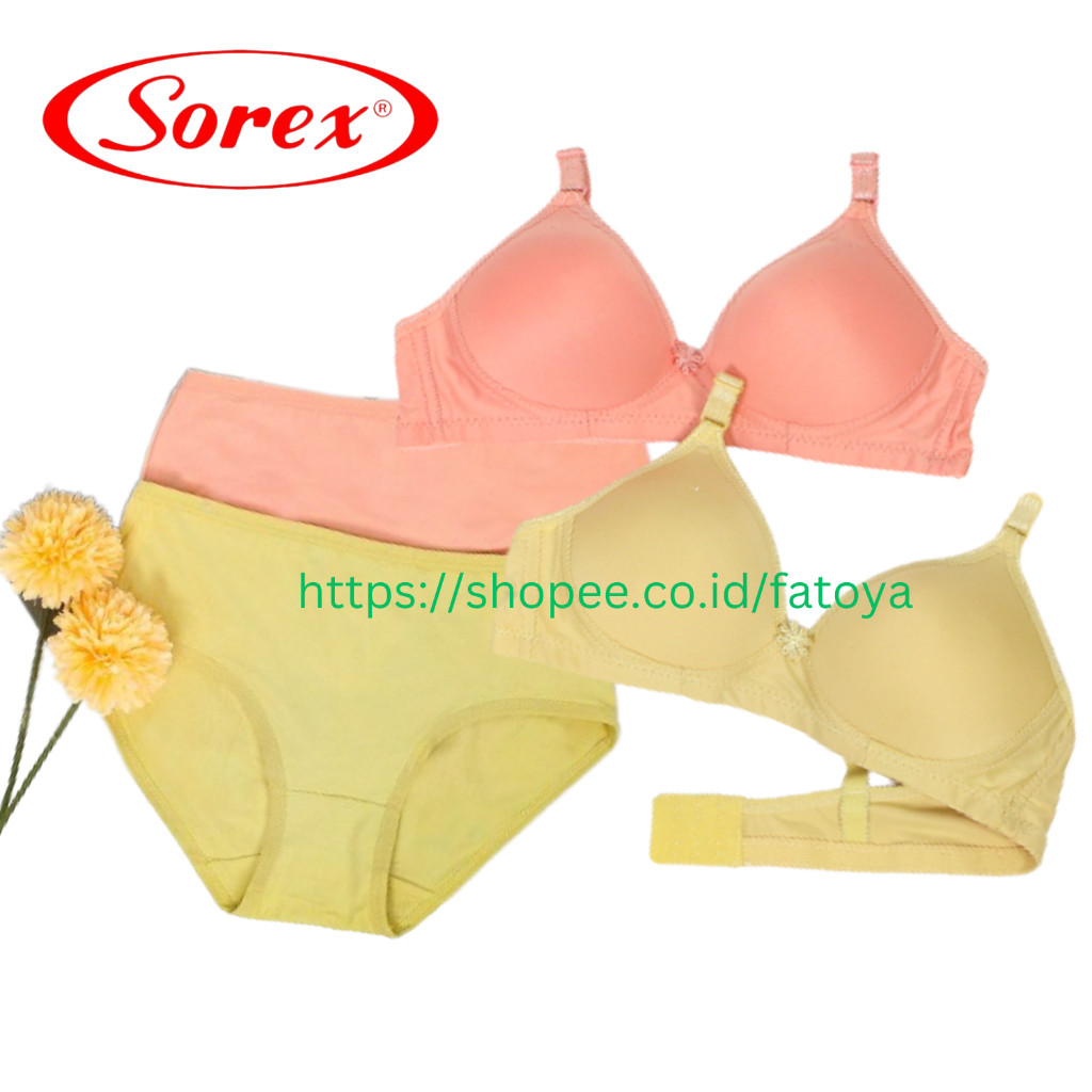 Set Bra Setelan Pakaian Daleman Cewek Tanpa Kawat Sepasang Celana Dalam Bercinta Lingrie Bh Dan Cd W