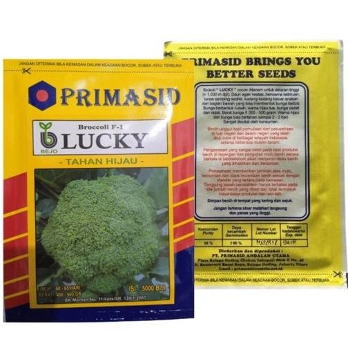 

Lucky Bejo 5000 Biji Benih Bibit Brokoli Broccoli F-1 Produk Original Pabrik