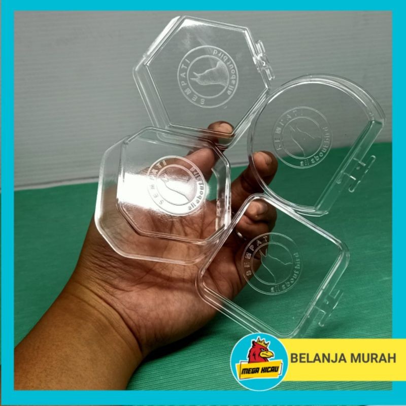 cepuk mandi burung pleci Sempati cepuk mandi burung kecil