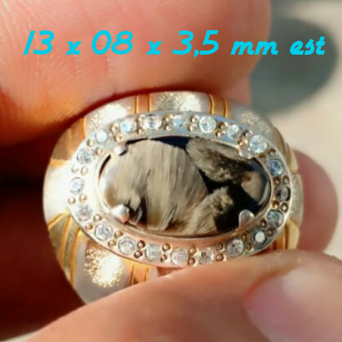 Bulu Macan Lumajang Asli Motif Golden Rabbit Full Bulu Putih Grade A Super Kolektor Item Ring Perak Murni HM Tebal Gold Platted Doff Zircon Mewah