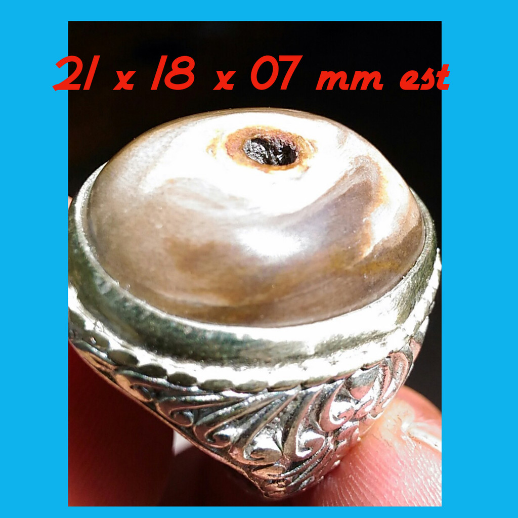 Natural Fosil Kayu Motif Puser Bumi dan Combong Alami