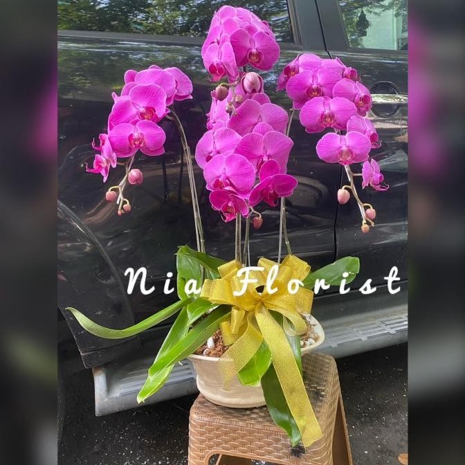 

Fgh Hampers Imlek Hadiah Ulang Tahun