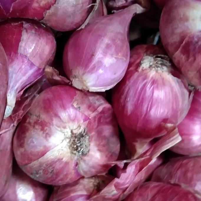 

Bawang Merah Brebes Super / Pilihan 1 Kg Berkualitas