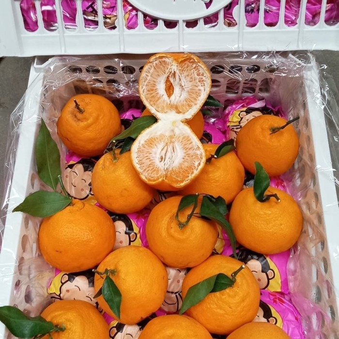 

jeruk decopon / papakam / dekopon / papagan gift imlek
