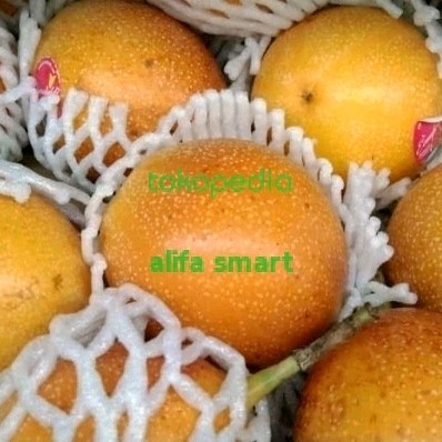 

Buah Markisa Equador 1 Kg