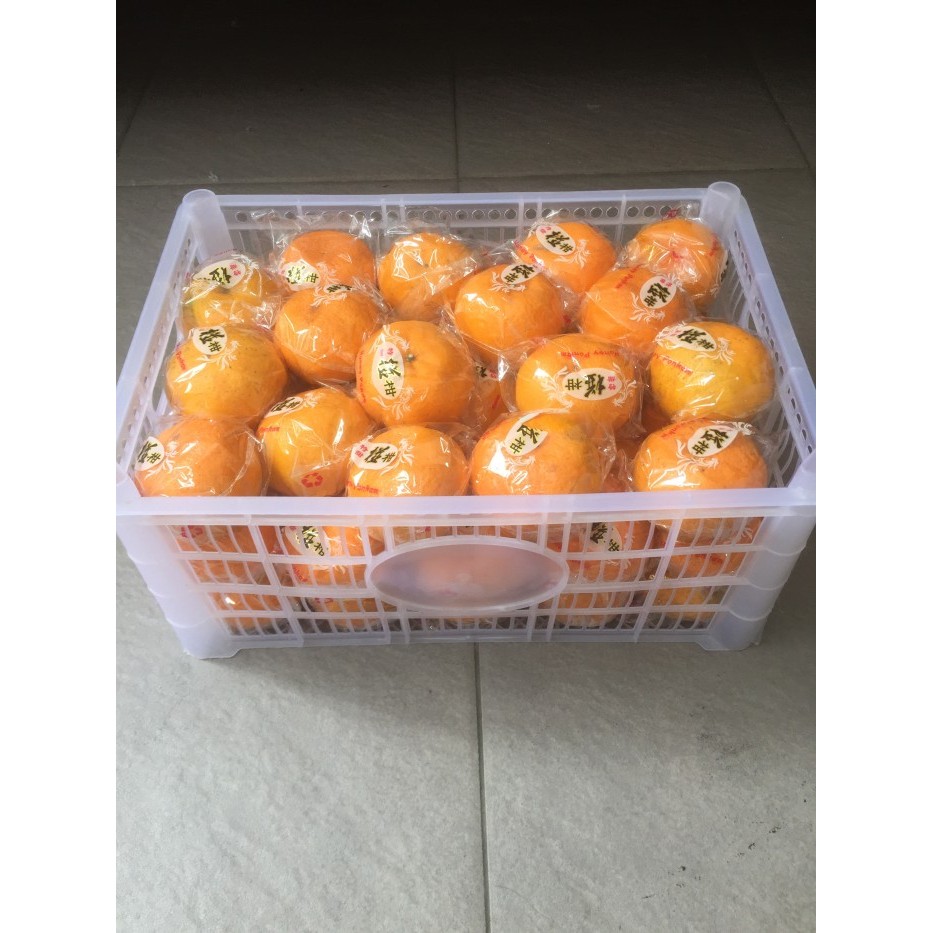 

Jeruk Ponkam Keranjang (9 KG) Fresh Import