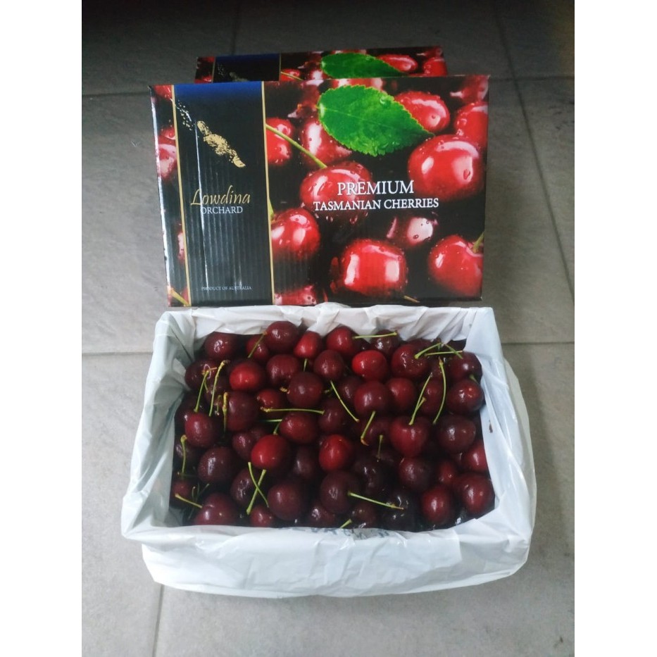 

Cherry Ceri Australia 1 Dus (2 KG) Fresh Import