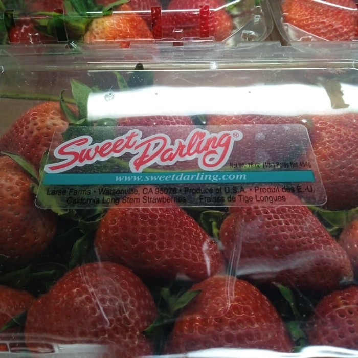 

Buah Strawberry Sweet Darling Jumbo 1 Pack