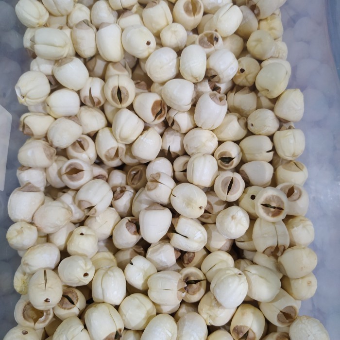 

500 gram lien ci / biji teratai