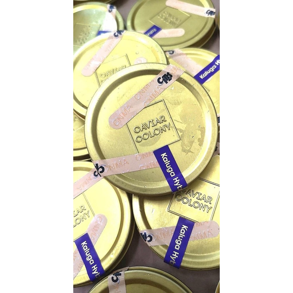 

Caviar Colony Sturgeon Roe Oscietra Amur Kaluga Hybrid Russian New 100 % Original