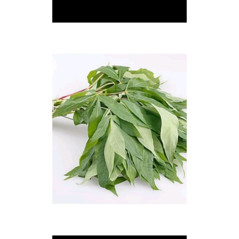 

sayur daun singkong