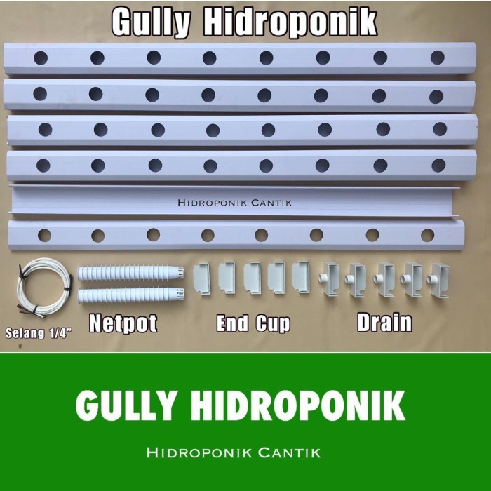Gully Hidroponik