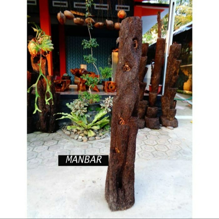 Pohon pakis media tanam anggrek/ tanaman gantung