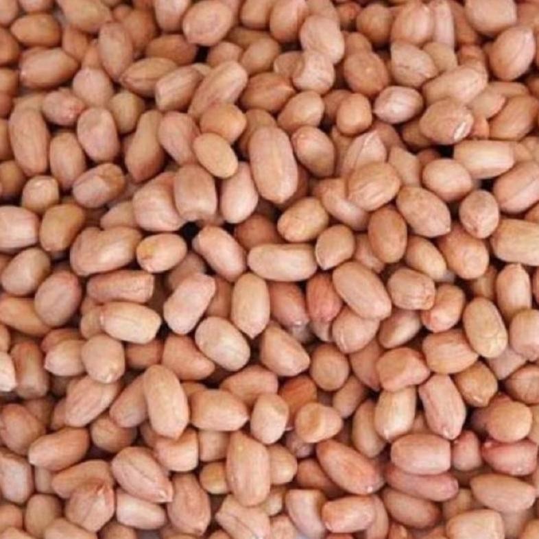 

Kacang Tanah Mentah Timbang 1 Kg