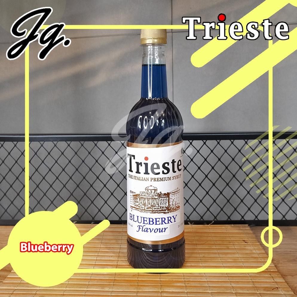 

Trieste Syrup Blueberry 650 ml - Trieste Sirup Blueberry