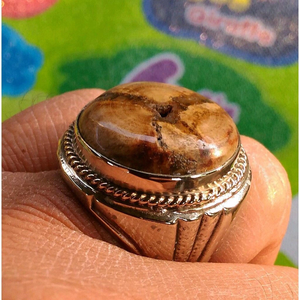 Koleksi Batu Alam Kayu Kristal Motif Junjung Derajat Combong Aktif Wingit Kolektor Item Ageman Khusu