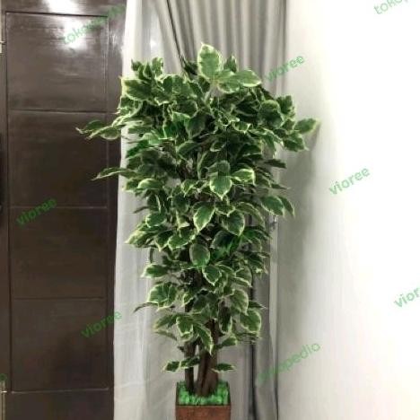 Tanaman hias artificial besar 170cm Sinfu Pohon Bunga plastik Tinggi