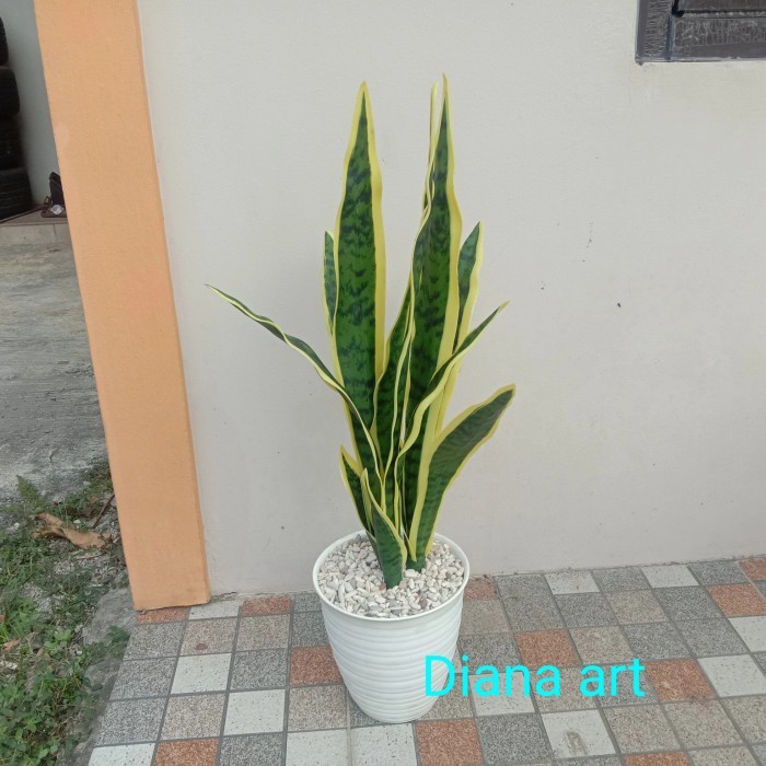 Tanaman Lidah Mertua Palsu#Lidah Mertua Latex#Lidah Mertua Artificial# #Gratisongkir #Sale #Discount