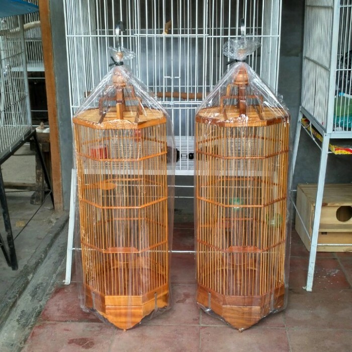 Kandang branjangan kayu jati