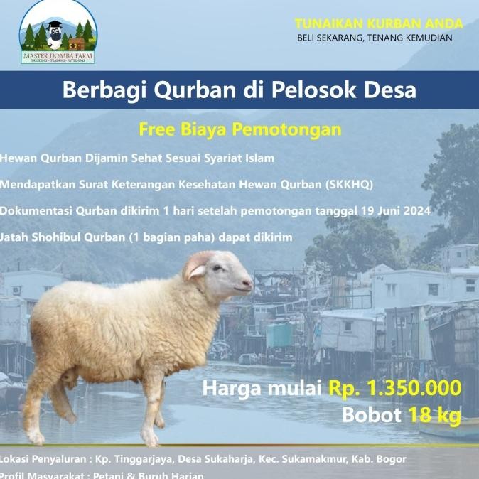 

Qurban Kambing Domba - Hewan Kurban Murah