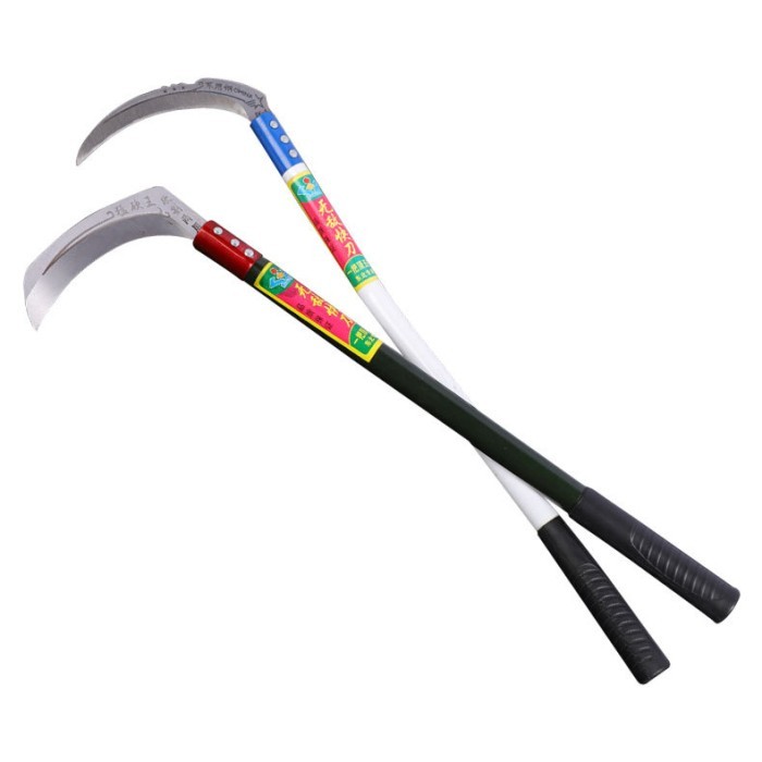 Arit Sabit Rumput Padi Tanaman Ranting Tajam Kuat