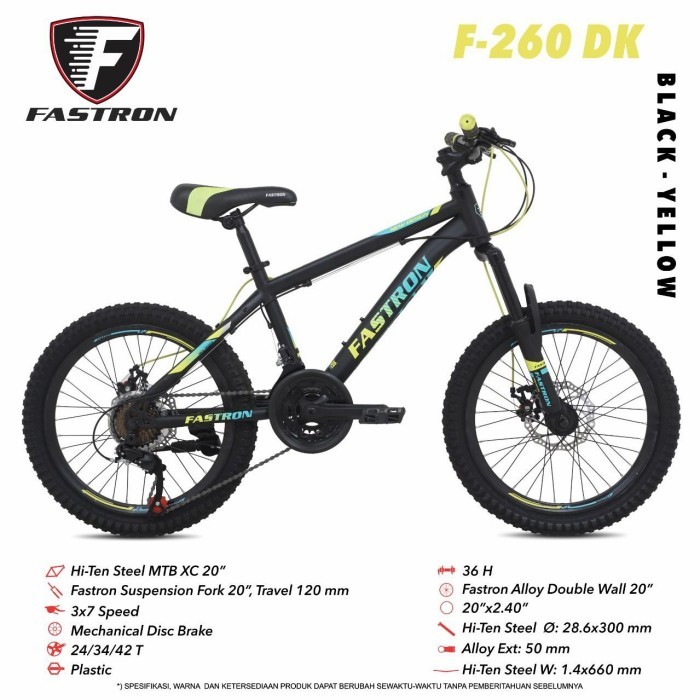 Sepeda Anak MTB 20 inch Fastron 260