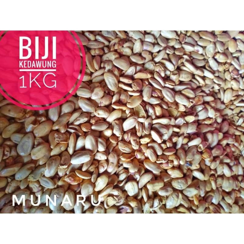 

Biji Kedawung Matang 1Kg Berkualitas