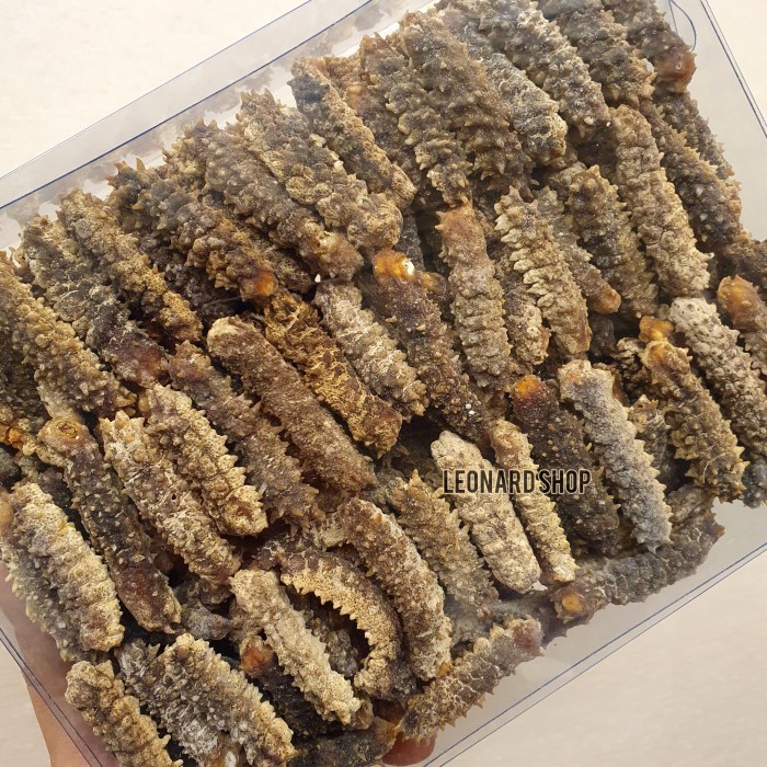 

SALE TERLARIS HAISOM DURI SUPER A+ BERKUALITAS TERIPANG TEBAL GAMAT GOSOK BELITUNG READYY