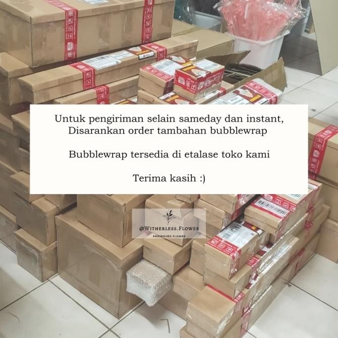 Now Trending 10 Gr Dried Rodanthe Flower / Dried Daisy Rodanthe / Bunga Kering Neo