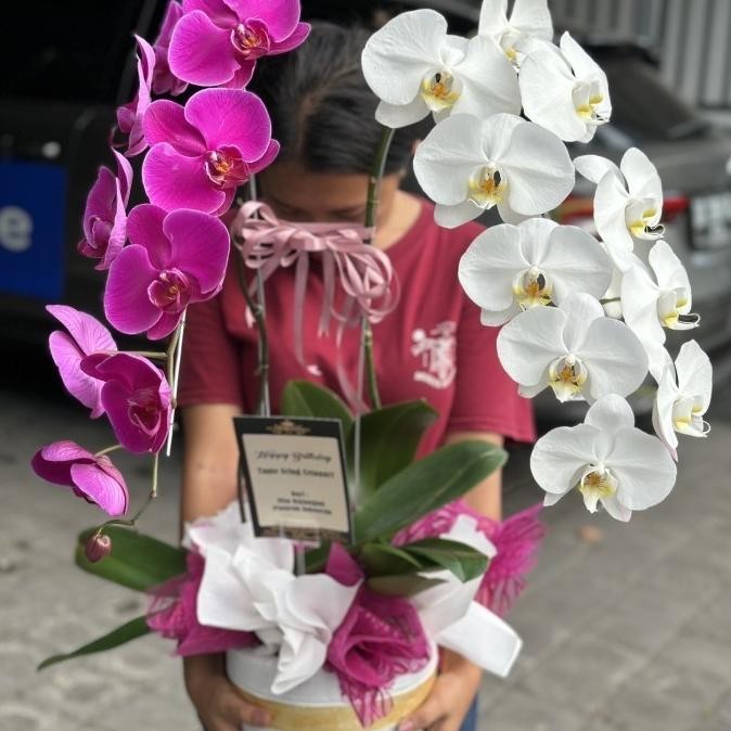 Terlaris Double Orchid Bunga Asli Anggrek Bulan Pot Hidup Anggrek Bulan Flowers Ready Stok