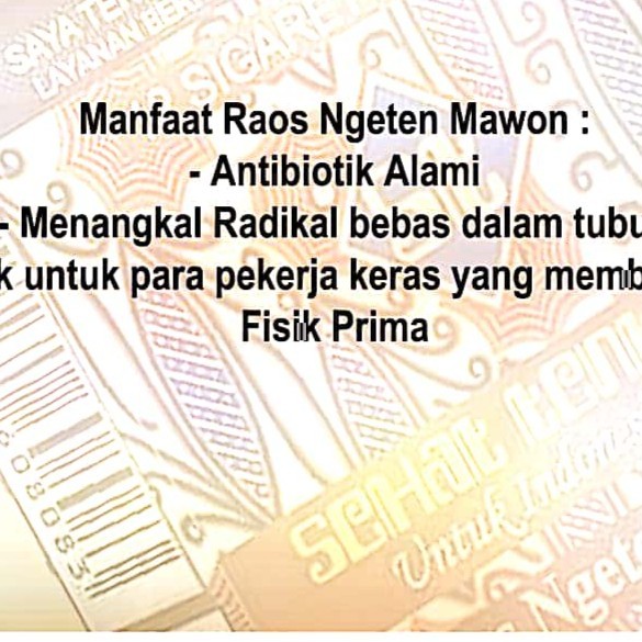 

Ngenten Mawon Herbal Asli 1Box