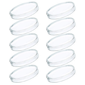 

LabTestKit 60mm Disposable Plastic Glass Mushroom Cell Tissue Agar Petri Dishes For Mushrooms With Lid Laboratory Equipment Culture Dish Brand New