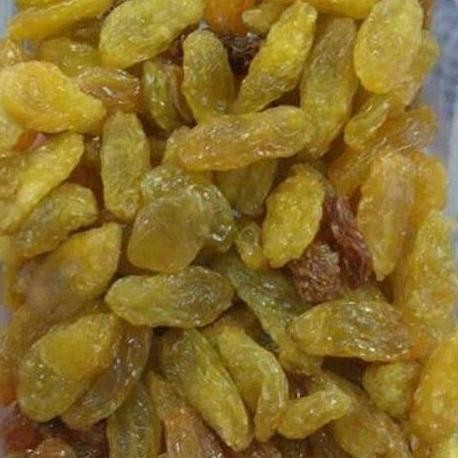 

I Jumbo Lion California 1G Ualita Terbai Epd 2023