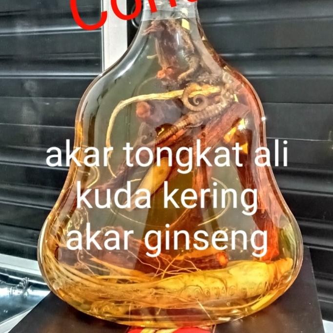 

Promo Herbal Kuda Laut 1 Pcs Kuda Laut 2 Pcs Akar Ginseng COD