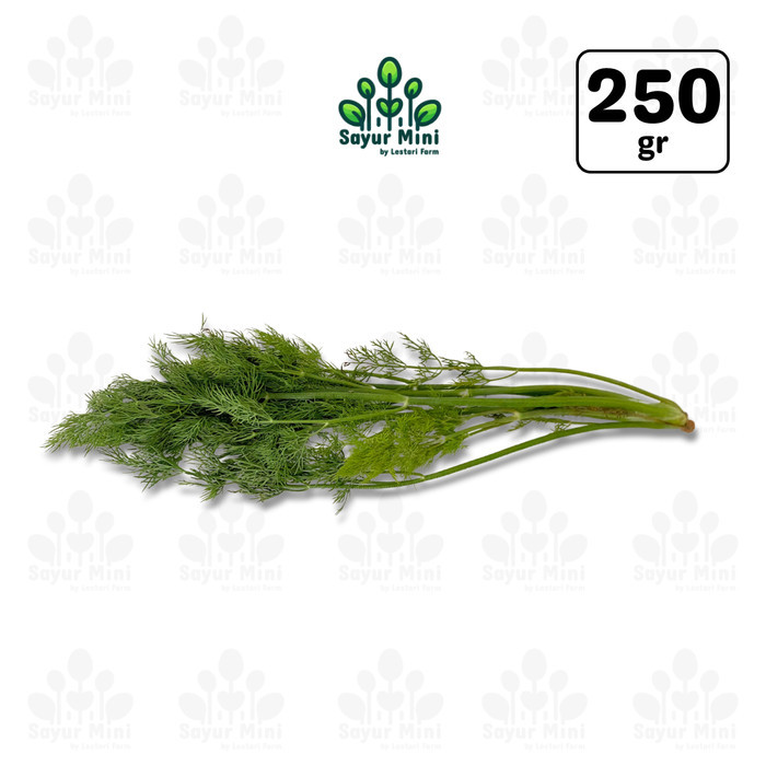 

Daun Dill 250gr - Daun Adas Sowa - Sayur Fresh by Sayur Mini