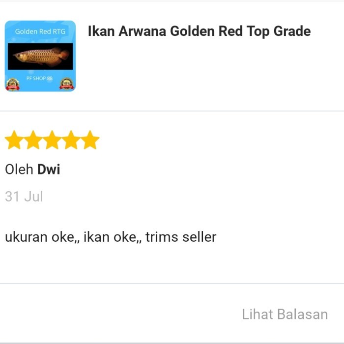 Ikan Arwana Golden Red Top Grade
