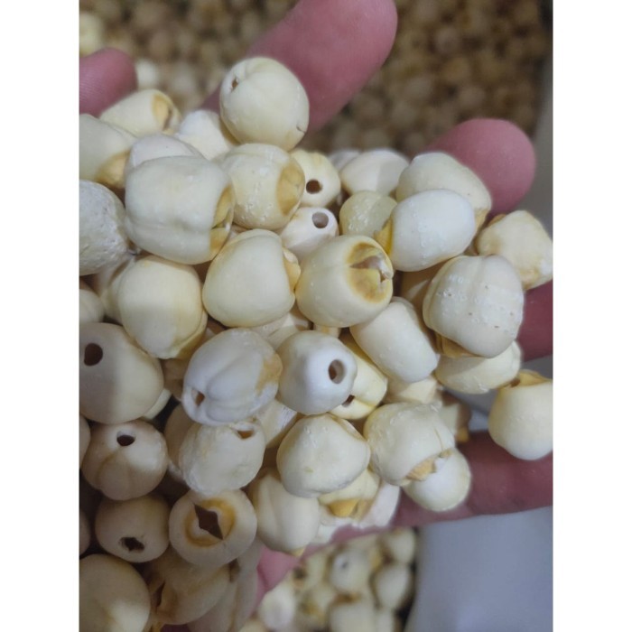

500GR BIJI TERATAI/ WHITE LOTUS SEED / LIAN ZHI / LIENCI / BAI LIAN ZI