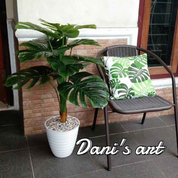 Monstera Jumbo/ Monstera Palsu / Monstera Plastik/ Monstera Hias