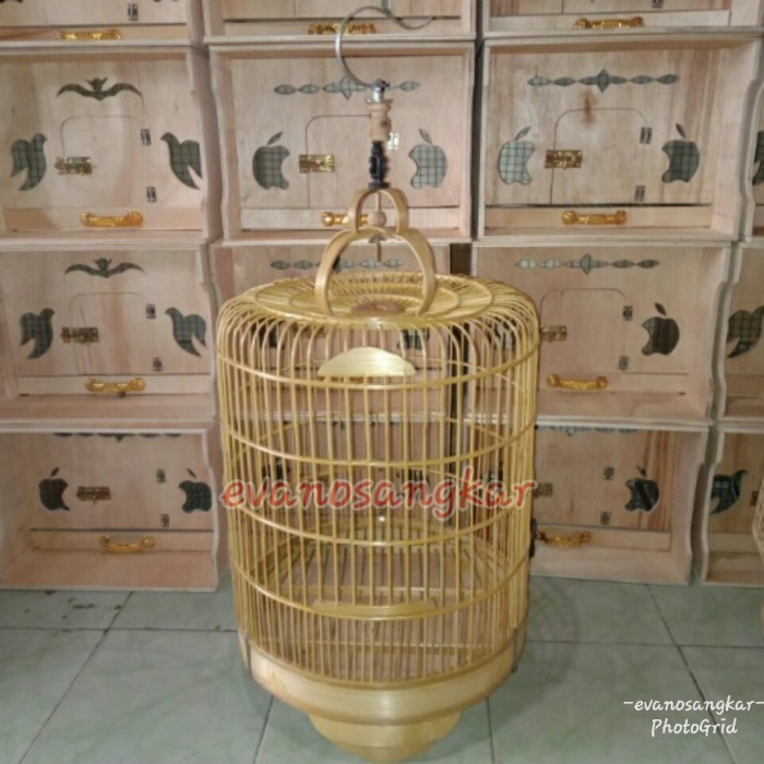 TERBARU kandang anis,wambi,kenari. (vernisan)
