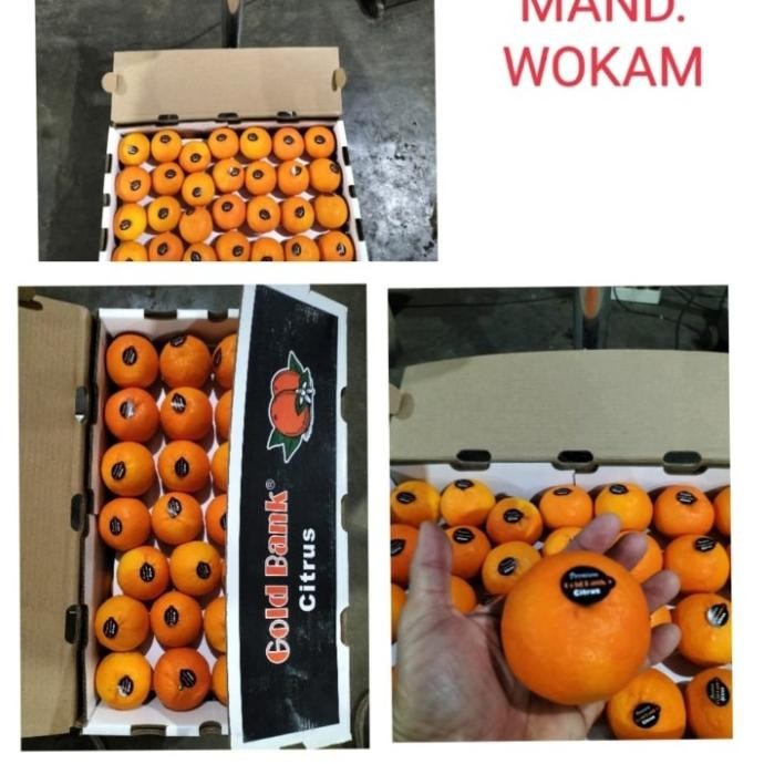 

SALE! JERUK MANDARIN WOKAM FRESH PER DUS