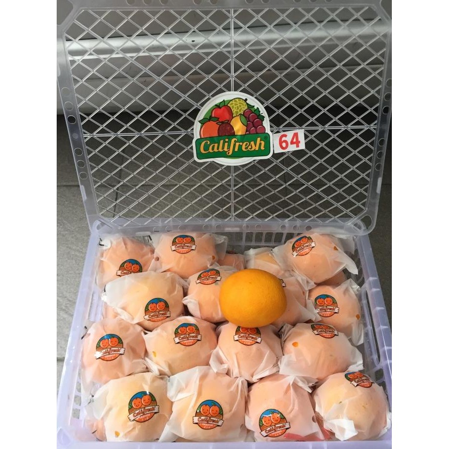 

SALE! JERUK SUNKIS NAVEL RRC (14 KG) FRESH IMPORT