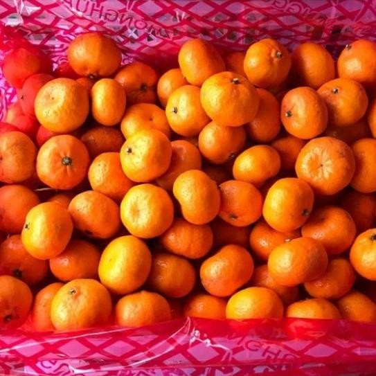 

SALE! JERUK SANTANG BOTAK NANFENG FRESH PER 1 KRANJANG BERAT 7 (KG)