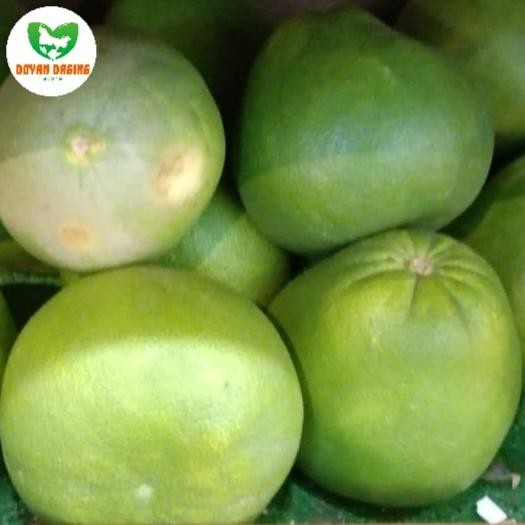 

SALE! BUAH JERUK BALI MADU / POMELO FRESH SEGAR PER BUAH.
