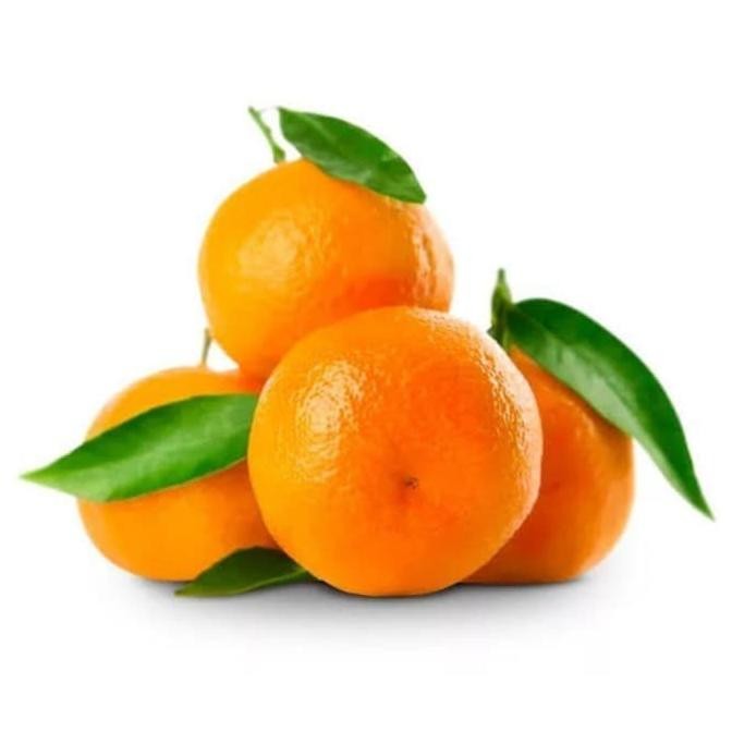 

SALE! JERUK SHANTANG TANGERINE