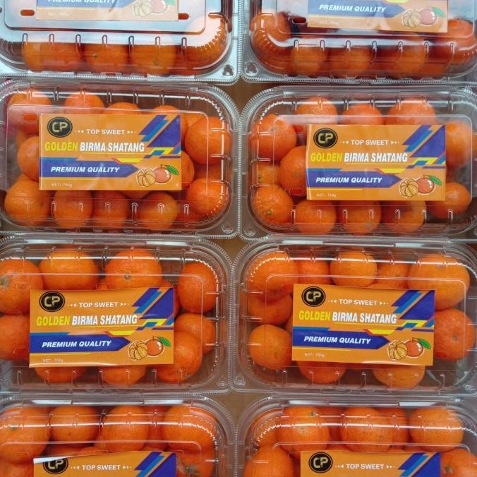 

SALE! BUAH JERUK KECIL | JERUK SANTANG | JERUK SANTANG MANIS SEGAR - 1KG