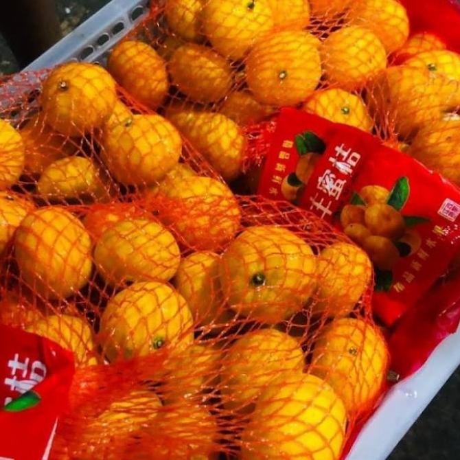 

SALE! JERUK SANTANG FRESH 1 KG