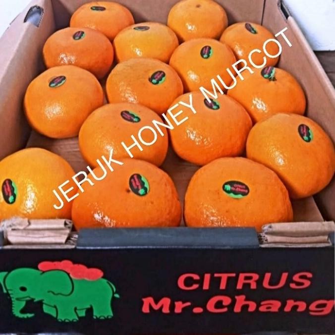 

SALE! JERUK HONEY MURCOT FRESH PER 1 DUS BERAT -+9 KG